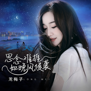 兔女郎的奇妙冒险安卓直装
