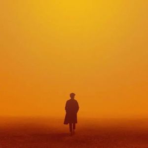 兔女郎的奇妙冒险安卓直装
