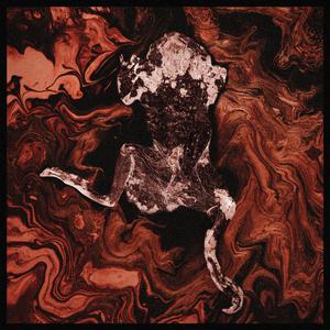 兔女郎的奇妙冒险安卓直装
